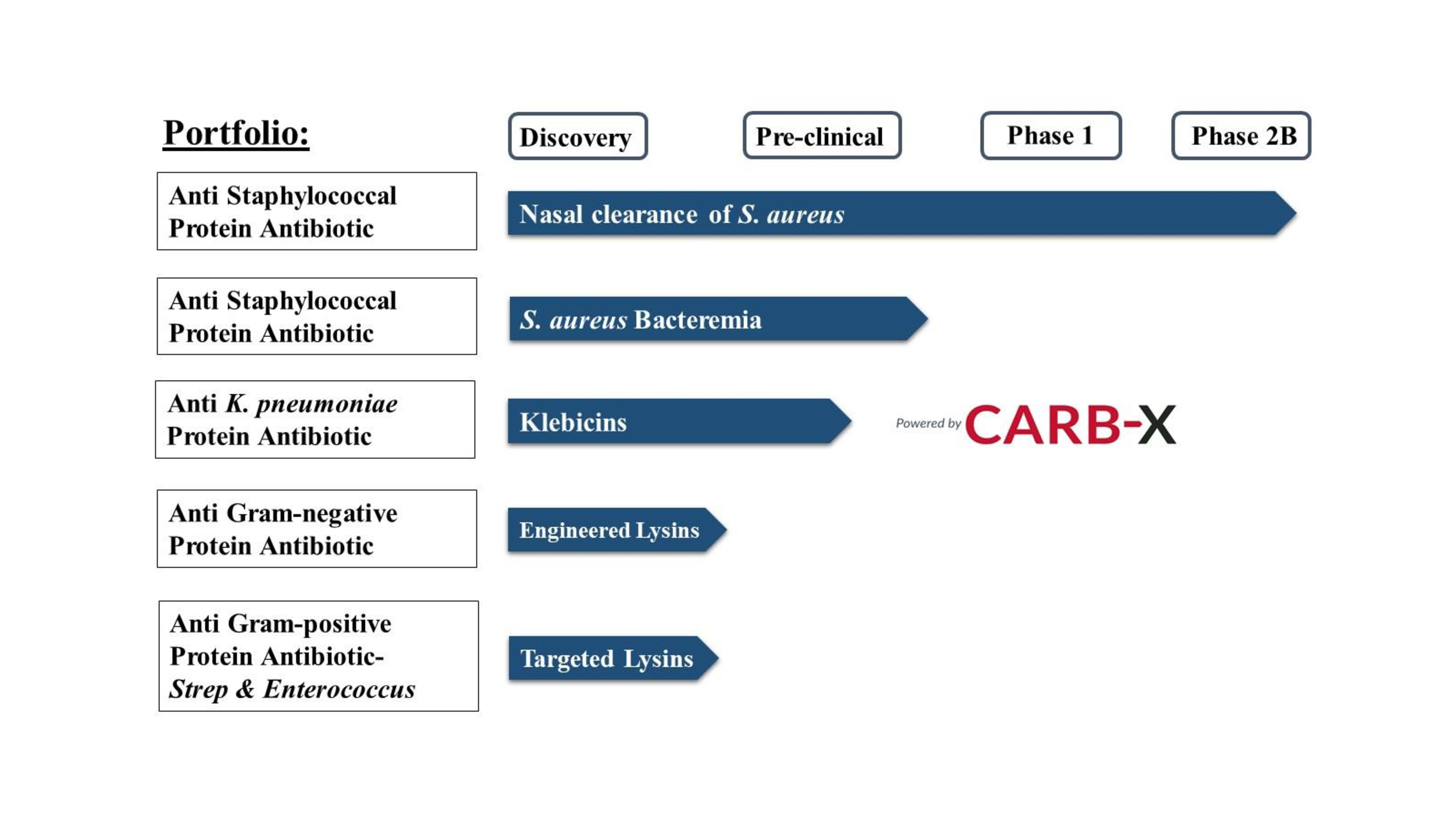 Staphylococcus aureus peptidoglycan diagram